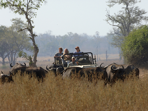 Exhilarating 4x4 game drives in Tafika’s open-sided and open-topped vehicles.