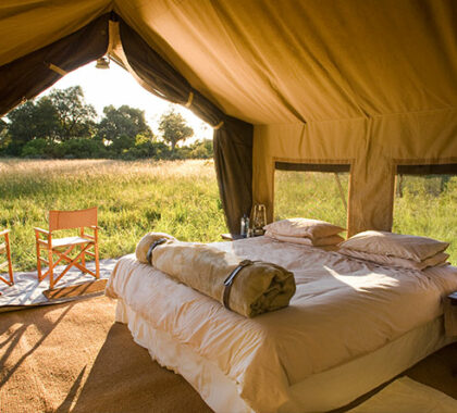 The spacious tented suites have everything you'll need for comfort while on safari.