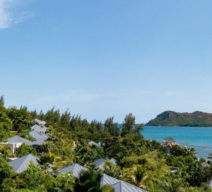 raffles-praslin-banner-1