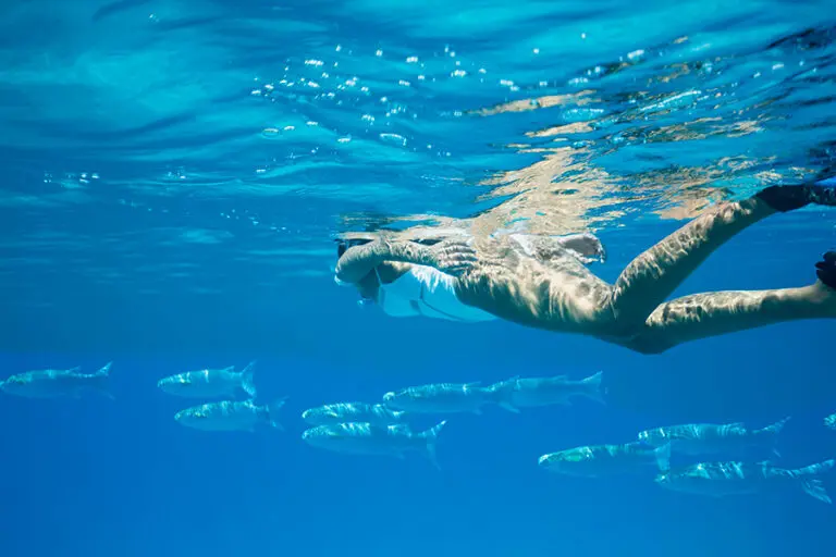 Discover crystal-clear underwater life while snorkelling at Raffles Praslin.