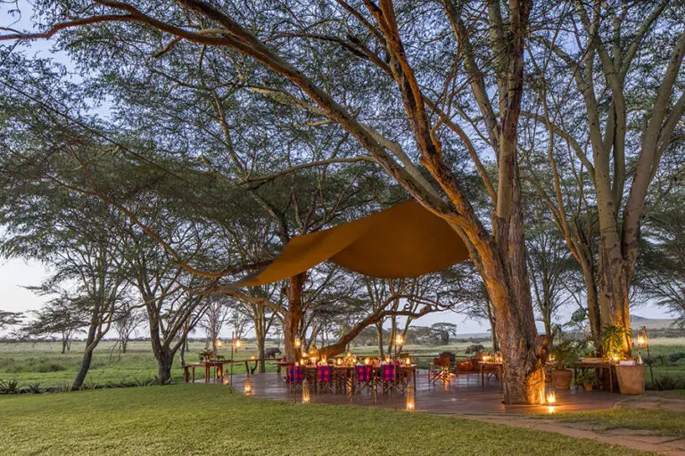 Dinner under the stars.