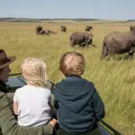 Family safaris.