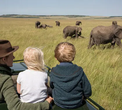 Safaris familiares.
