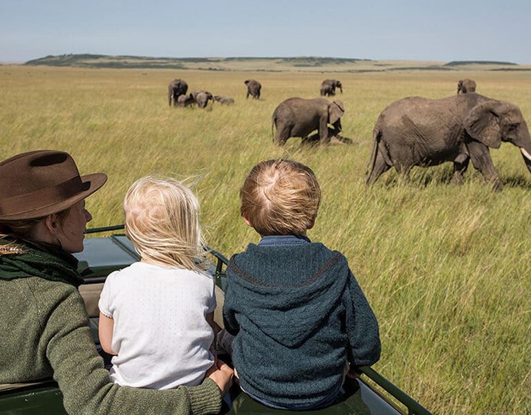 Family safaris.