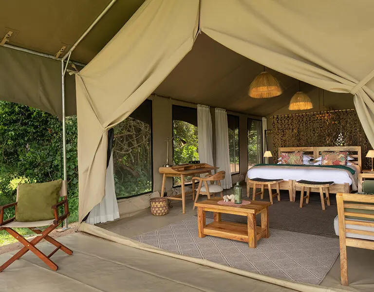 Your tent features a private patio to enjoy your morning coffee. 