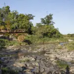 Rekero Camp is a charming, authentic seasonal safari camp.