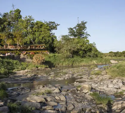 Rekero Camp es un encantador y auténtico campamento de safari de temporada.
