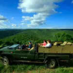 Los safaris se realizan en vehículos descubiertos, ideales para tomar fotografías.