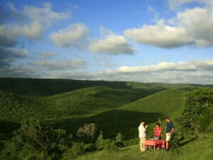 Durante los safaris y las paradas para beber, su guía le informará sobre la historia y el entorno de Addo.