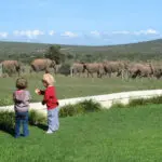 Los niños son especialmente bienvenidos en Riverbend; se ofrecen actividades infantiles y un servicio gratuito de guardería.