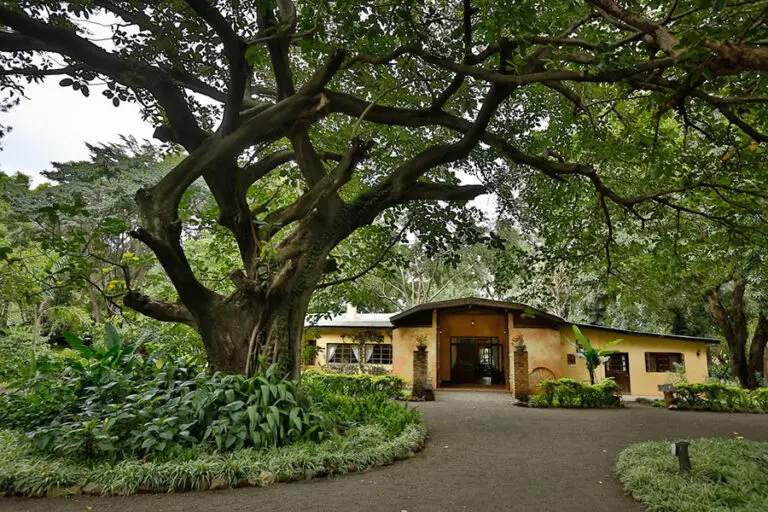 rivertrees_country_inn_02