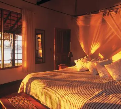 Húndete en tu cómoda cama y disfruta de tu estancia en Robin's House
