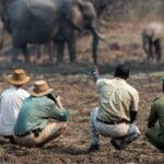 Safari a pie.