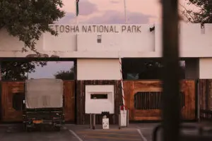 Entering Etosha National Park | Rovos Rail
