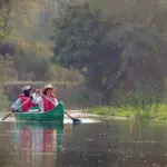 A guided canoe excursion offers a unique look at the landscape, including uncovering the smaller details you may miss on a drive.
