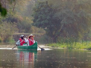 A guided canoe excursion offers a unique look at the landscape, including uncovering the smaller details you may miss on a drive.
