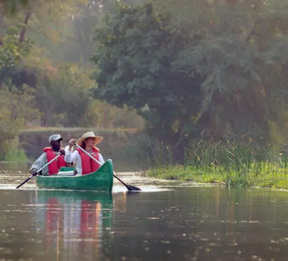 Una excursión guiada en canoa ofrece una visión única del paisaje, que incluye descubrir los pequeños detalles que puede perderse en un viaje en coche.