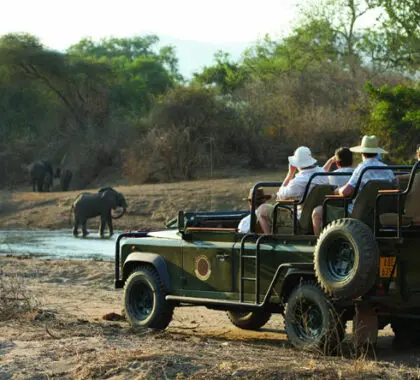 Game drives are conducted in open-air safari vehicles, ideal for photography.
