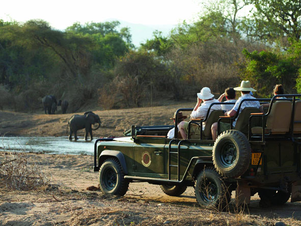 Game drives are conducted in open-air safari vehicles, ideal for photography.
