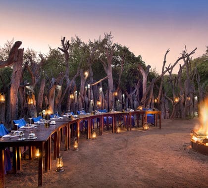 Jantar no Royal Chundu é uma experiência pela qual vale a pena esperar.