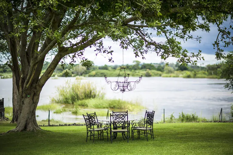 Enjoy lunch along the Zambezi river.