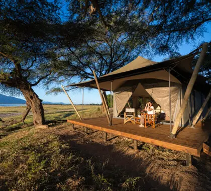 El campamento Ruckomechi está situado en el límite occidental del Parque Nacional de Mana Pools.