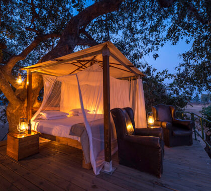 Sleep under the stars in the sky bed.