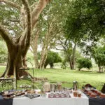 Picnic.