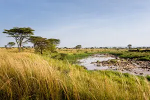 singita-mara-river-tented-camp-mara-river-2
