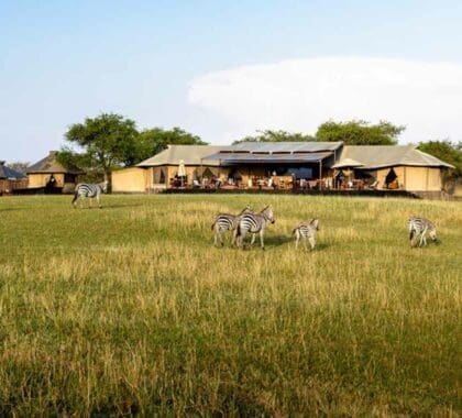singita-sabora-tented-camp-banner
