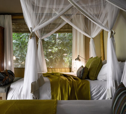 Tented suites feature queen-sized beds.
