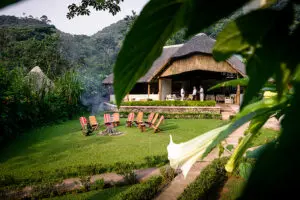 En el corazón del Parque Nacional Impenetrable de Bwindi.