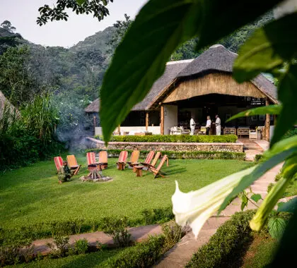 En el corazón del Parque Nacional Impenetrable de Bwindi.