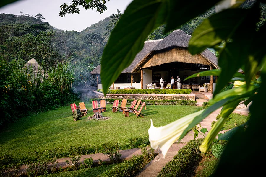 En el corazón del Parque Nacional Impenetrable de Bwindi.
