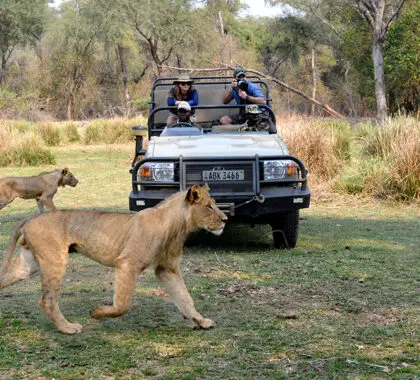 Se ofrecen emocionantes actividades de safari.