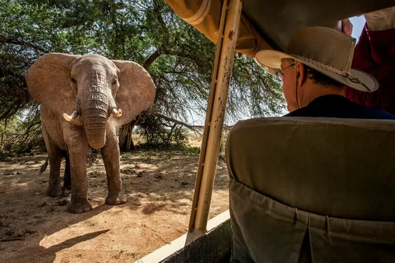 Close encounter with an elephant