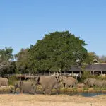 Sabi Sabi Bush Lodge in the Sabi Sands, Kruger. 
