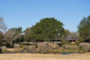 Sabi Sabi Bush Lodge in the Sabi Sands, Kruger. 