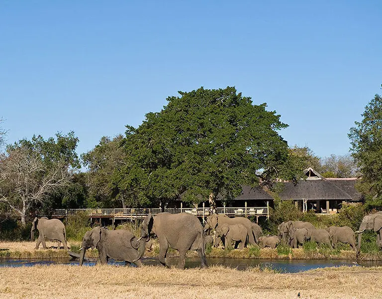 Sabi Sabi Bush Lodge in the Sabi Sands, Kruger. 