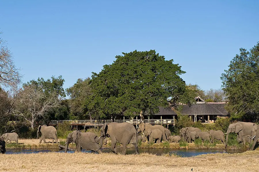 Sabi Sabi Bush Lodge in the Sabi Sands, Kruger. 