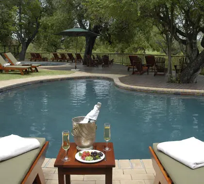 Relájese en la piscina del Sabi Sabi Bush Lodge.