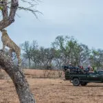 Game drives on a private concession.