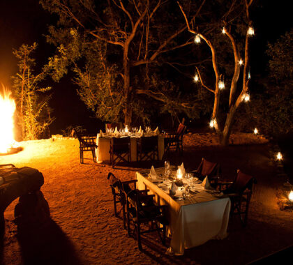 Enjoy a fireside, lantern-lit boma dinner at Sabi Sabi. 