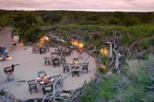 Una cena boma única.