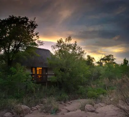 SabiSabiLittleBushCamp-Exterior-ArealView