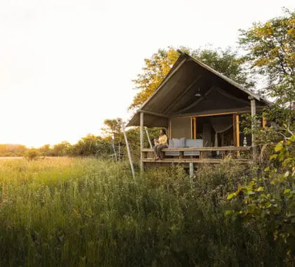Vista exterior de la suite de lujo | Sable Alley Camp