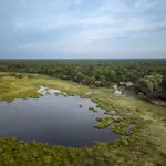Set in a private wildlife concession on a permanent water channel. 