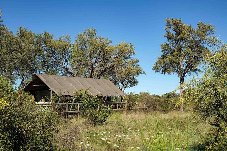 sable-alley-natural-selection-botswana-khwai-private-reserve-okavango-delta-_guest-tent-exterior-2