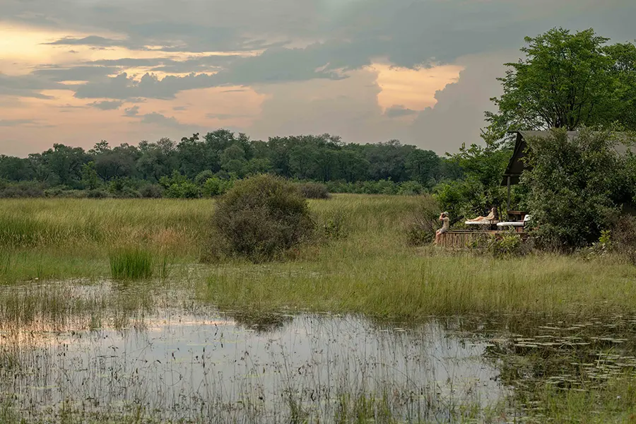 sable-alley-natural-selection-botswana-khwai-private-reserve-okavango-delta-_guest-tent-view-1