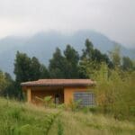 Las Virungas son algunas de las montañas más altas de África Oriental y constituyen el telón de fondo del lodge.